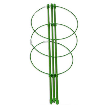 

Support Frame Plant Pot Culture Vine Climbing Rack Trellis Gardening Tool