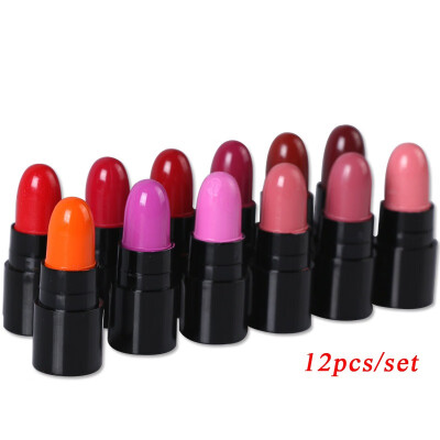 

12ColorsSet Mini Cute 12 Colors Lipstick Waterproof Lip Color 12gx12 High Quality Lips Makeup 6027