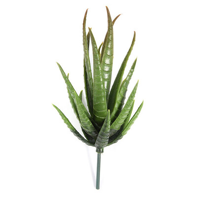 

Simulation Succulent Flower Floral Plastic Plant Plastic Plants Aloe Asparagus Zebrina Home Garden DIY Decor