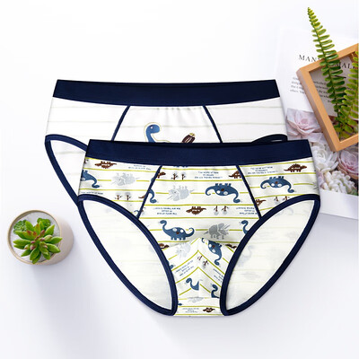 

Baby 2Pieceslot Panties Children 100 Cotton Underwear Boys Suits 2019 Clothes Child Clothing