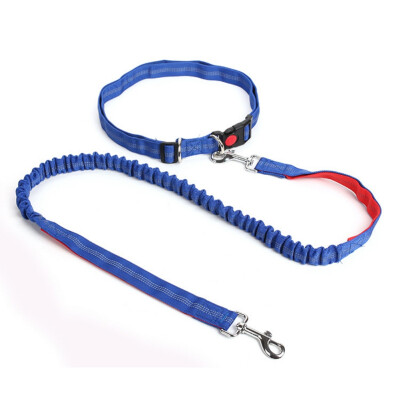 

Pet Dog Running Leashes Hands Freely Great for Walking dog leash Rope with reflective Jogging dog collars leash CL109