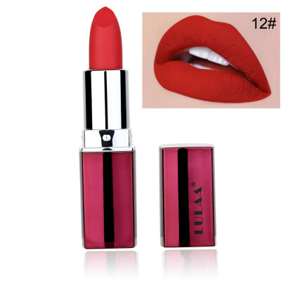 

12 Colors Sexy Velvet Lipstick Makeup Lasting Waterproof Lip Gloss Non-Stick Cup Lip Stick maquiagem