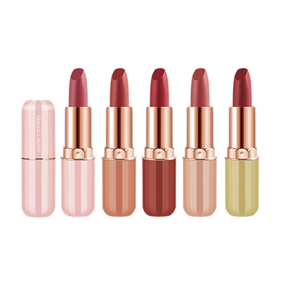 

Matte Mousse Lipstick Set Long Lasting Moisturizing Non-stick Cup Beauty Makeup Lipstick Waterproof Lipstick
