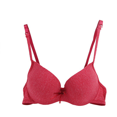 

Seamless Underwire Women Sexy Bra Color Cotton Thin Bras Smooth Gathered Underwear Girl Wrapped Push Up Bra for Women