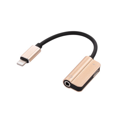 

Lightning to 35mm Jack Earphone Charging Cable Lightning Audio Aux Cable Audio Adapter Earphone Charge Converter for iPhoneSilve