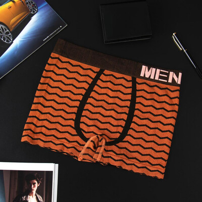 

Striped Print Mens Boxer Briefs Soft Light Thin Good Elastic Underwear