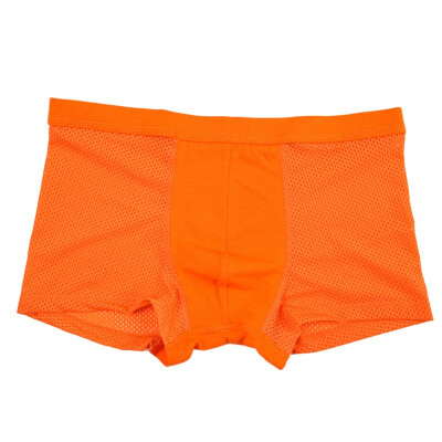 

Breathable Mesh Design Underwear Fashion Comfortable Solid Color Mid-rise Mens Boxers