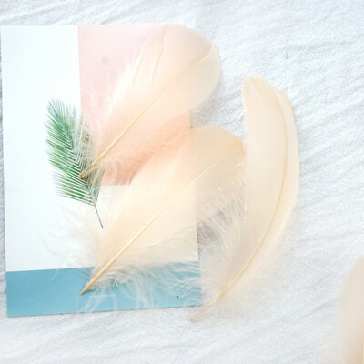 

100pcspack Home Party Macaron DIY Birthday Party Romantic Wedding Decoration Color Feathers Transparent Bubble Balloons Fillers