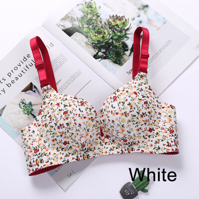 

2019 five-color one-piece Bra Gathered Adjustable Shoulder Strap Four Rows Of Buckles Without Steel Support Printed Bra 3