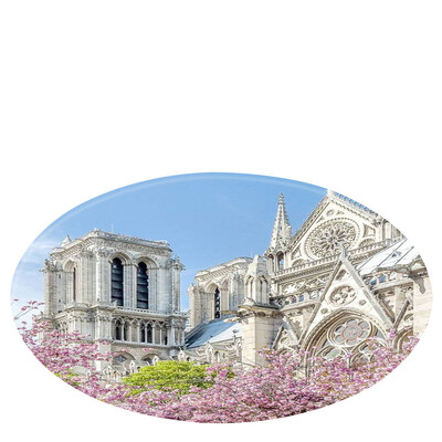 

Gobestart Notre Dame Elements Blanket Round Bathroom carpet 60cm