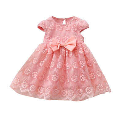 

2019 New Summer NewBorn Baby Girls Dress Lace Mesh Girls Infant Clothes Pink Princess Dress Children Clothes Baby Girls Dress