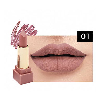 

Matte Velvet Lipstick Brand Makeup Cosmetic Long Lasting Lip Gloss Pigment Lipstick