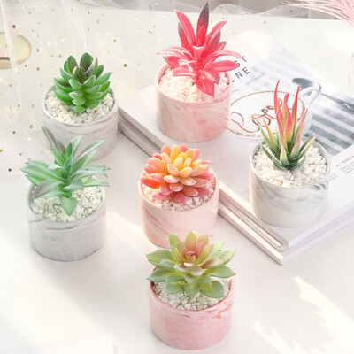 

Home Desktop Decoration Simulation Fleshy Potted Ornaments Fake Green Plants Bonsai