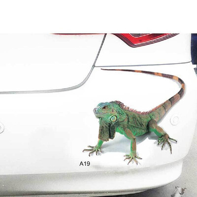 

New stereo car spider gecko animal car stickers simulation car tail stickers realistic modification stickers A21 red spider pair