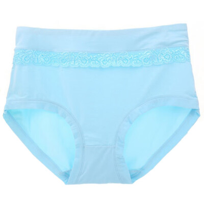 

Fashion High Quality Women Panties Transparent Underwear Women Lace Soft Briefs Sexy Lingerie