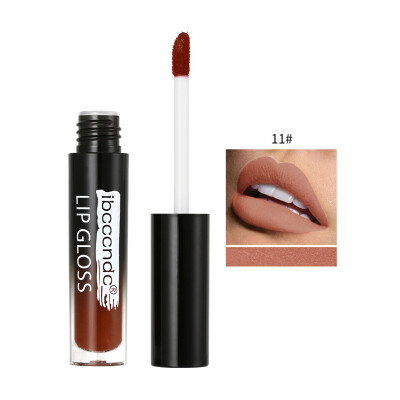 

12-Color Matte Lip Gloss Moisturizing Waterproof Long-Lasting Lip Glaze Liquid Lipstick