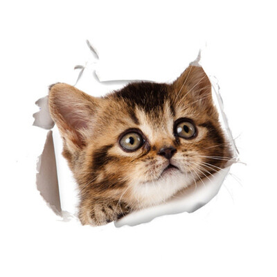 

Cat Vivid 3d Smashed Switch Wall Sticker Bathroom Toilet Kitchen Decorative Decals Funny Animals Decor Poster Pvc Mural Art