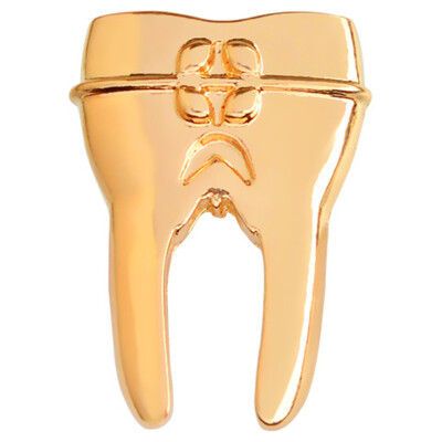 

Tooth Pin Dentist Jewelry For Medical Doctors Nurse Medical Student Brooch Gift