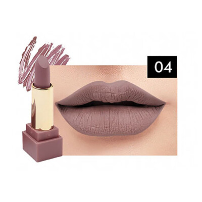 

Matte Velvet Lipstick Brand Makeup Cosmetic Long Lasting Lip Gloss Pigment Lipstick