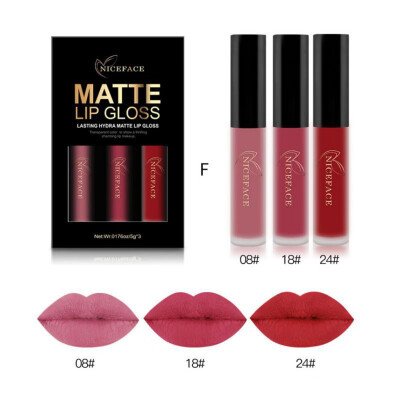 

Waterproof Soft Texture Matte Lipgloss Kit Long Lasting Choose Colors Lip Gloss Matte Liquid Lipstick 3Pcsset Makeup Set