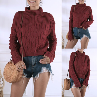 

Tailored Women Turtleneck Solid Color Long Sleeve Knitted Sweaters Casual Blouse Tops