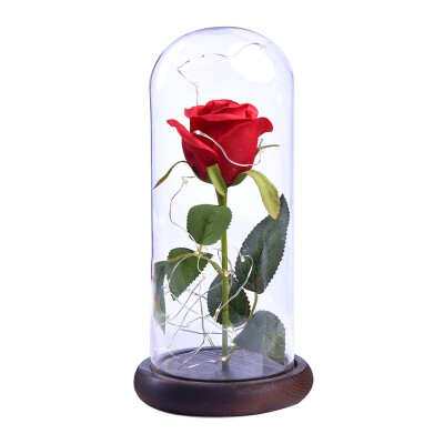 

LED Beauty Rose&Beast Battery Powered Red Flower String Light Desk Lamp Romantic Valentine\s Day Birthday Gift Decoration