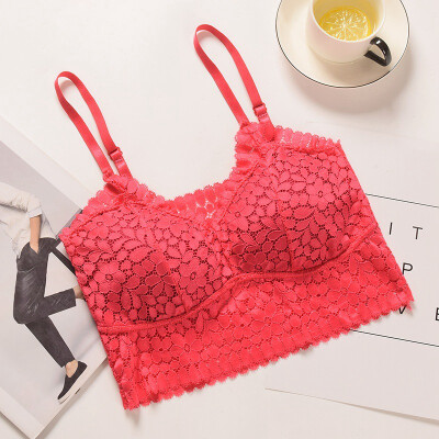 

Sexy Bra Women Floral Lace Bralette Solid Color Lingerie Underwear Wireless Padded Seamless Bra Padded Bras for Women