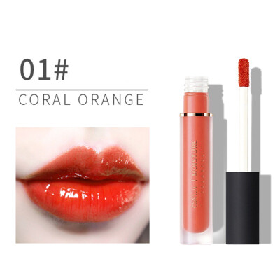 

Moisturizing Lip Glaze Long-lasting Waterproof Non-stick Cup Colorfast Lip Gloss Beauty Lip Maquiagem Lip Tint