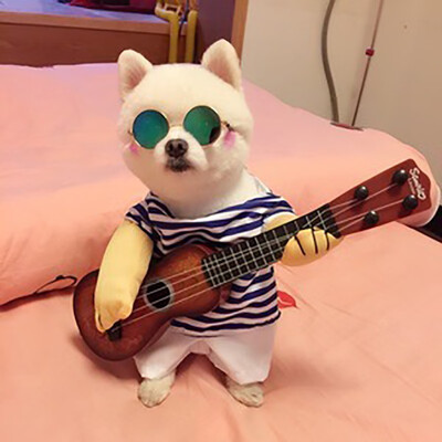 

Dogs Play The Guitar Halloween Christmas Events Costume Novelty Funny Pet Party Cosplay Apparel Outfit Clothing