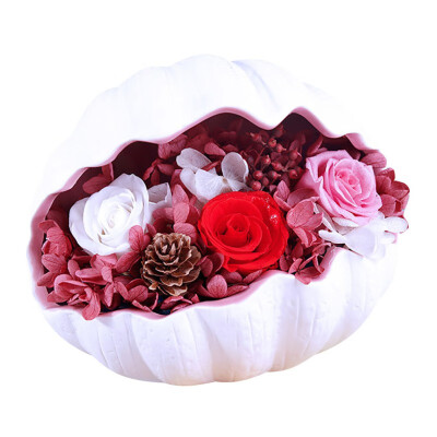 

Valentines Day Lovers Gift Rose Flower With Conch Shells Exquisite Durable Eternal Flower Box Preserved Flower