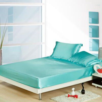 

Toponeto New QueenStandard Silk Satin Bed Sheet Cushion Cover Multiple Colors Gift