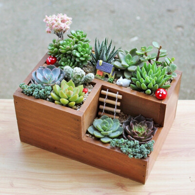 

Wooden Garden Planting Trough Window Frame Succulent Planting Pot