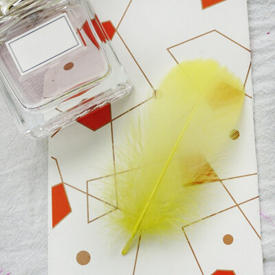 

100pcspack Home Party Macaron DIY Birthday Party Romantic Wedding Decoration Color Feathers Transparent Bubble Balloons Fillers