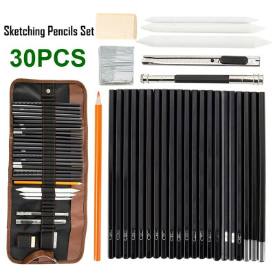 

30PCS Sketch Pencils Set for Artists Sketching Pencils Art With Bags