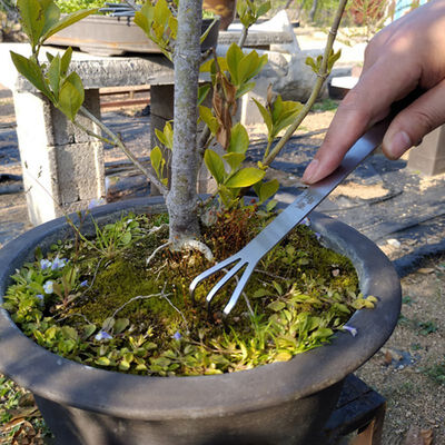 

Gardening Stainless Steel Tweezers Succulent Planting Compacted Soil Trimming Hand Tool Rake Trimming Rake Garden Tools