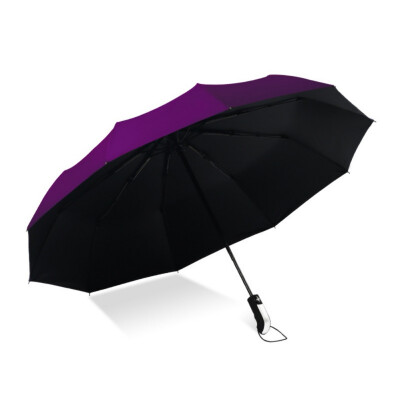 

Wind Resistant Folding Automatic Umbrella Rain Women Auto Luxury Big Windproof Umbrellas Rain For Men Black Coating 10K Parasol