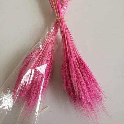 

50 PCS Wheat Ears Artificial Plants For Home Decorations Festive Supplies For Milk Tea Shop