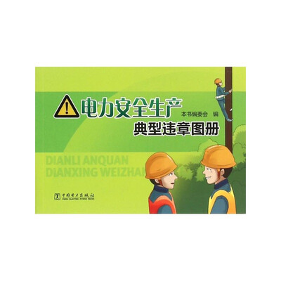 

电力安全生产典型违章图册