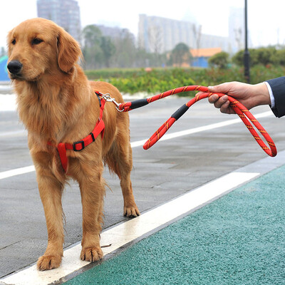 

Han Han Park dog rope dog chain pet traction rope leash dog harness with a rope leash dog Teddy Small Medium Large dog chain No 1-- red lines round rope S No