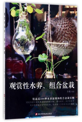 

观赏性水养、组合盆栽