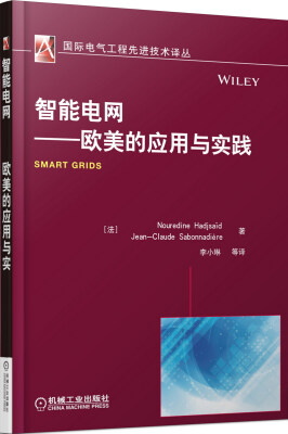 

国际电气工程先进技术译丛·智能电网欧美的应用与实践