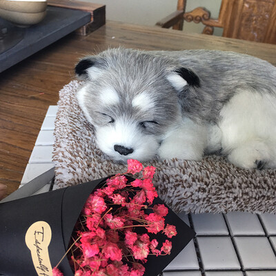 

Xiangtu active bamboo charcoal package car supplies new car in addition to odor air purification to formaldehyde carbon car with bamboo charcoal dog car simulation dog cat doll doll car ornaments white fox