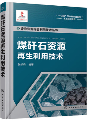 

废物资源综合利用技术丛书--煤矸石资源再生利用技术