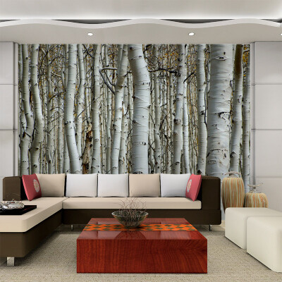 

Custom Wallpaper 3D Seamless Mural White Birch Forest Wall Painting Decor Bedroom Living Room Backdrop Wallpaper Wall Covering