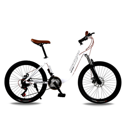 

Aluminum Alloy 24 inch bicycle lady students 21 speed 24 speed 27 speed mountain bike bicycle adult double brake damping