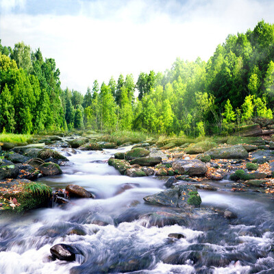 

3D Wall Mural Nature Landscape Custom Photo Wallpaper Suburban Forest Stream Living Room Background Wall Decorative Wall Papers