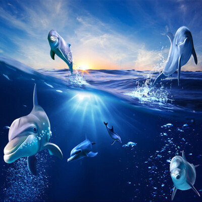 

Custom 3D Cartoon Mural Обои Восход Dolphin Out Of The Water Фото Обои для рабочего стола для детей Спальня Телевизор Фон Домашний декор