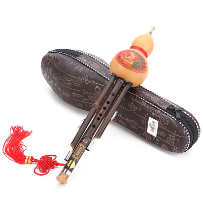 

[Jingdong supermarket] Dai Ling natural gourd Zizhu rod two tone Hulusi C tune 836