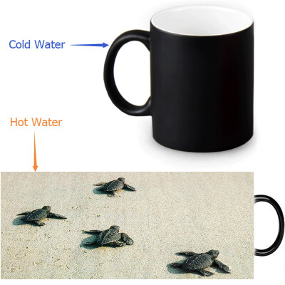 

Sea Turtle 350ml12oz Heat Reveal Mug Color Change Coffee Cup Sensitive Morphing Mugs Magic Mug Milk Tea Cups