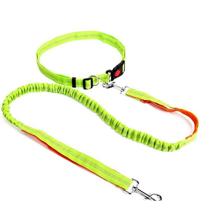 

Reflective Pet Dog Walking Leash Traction Rope Slip Lead Training Elastic Dog Collar Belt Adjustable Nylon Strap